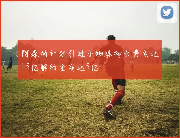阿森纳计划引进小蜘蛛转会费或达15亿解约金高达5亿