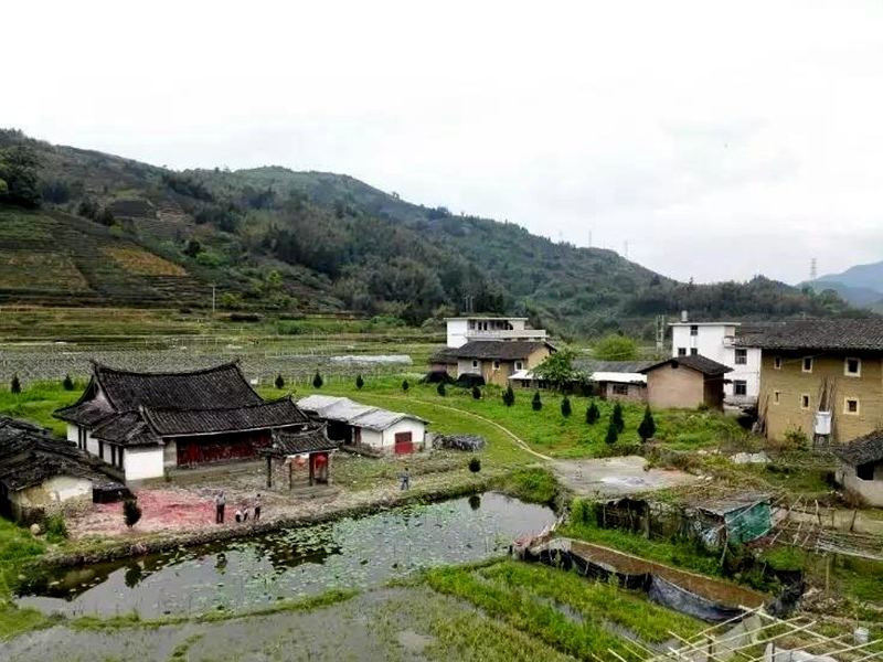 和记ag平台农家院：在绿水青山和石头缝里恣意生长(图1)