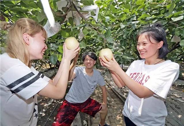 赏花、采摘、露营、游园打卡拾花节精彩继续！和记AG(图1)