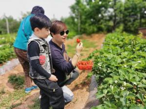 和记ag旗舰厅app“畅游醉梨园、乐享美生态”第十届酥梨采摘节开幕(图1)